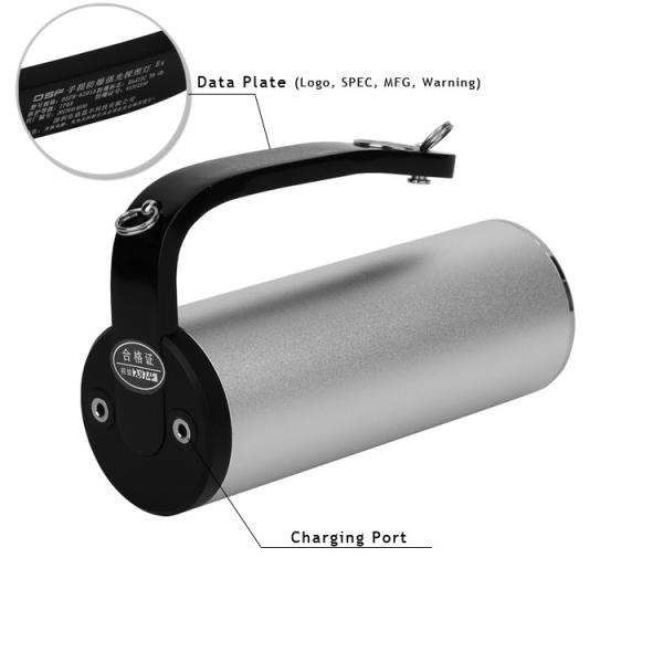 800 Lm 9W Explosion Proof LED Flashlight / Safety Led Pocket Torch Light