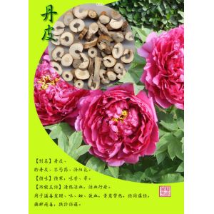Buy cheap ISO & GMP Certified 98% paeoniflorin chinese herbaceous peony extract powder from wholesalers