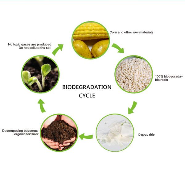 Eco friendly cornstarch pla biodegradable plastic die cut Bag with own logo