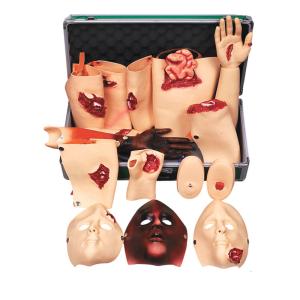 China First Aid Trauma Simulaids Cpr Manikins 30cm High wholesale