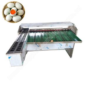 China Egg Sorting Machine By Weight Sorting Line For Sorting Eggs Egg Sorting Grading Machinery wholesale