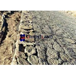 Earth Retaining Wall Gabions Galvanized Hexagonal Wire Mesh