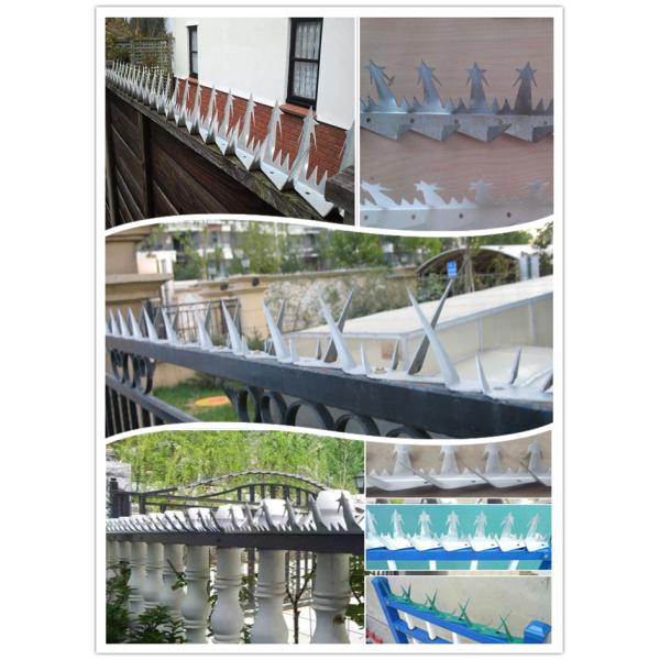 Easy To Install Wall Security Spikes High Steel Barbed Nail Fencing