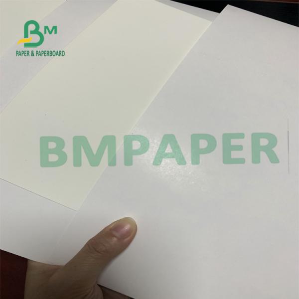 One Side Coated White Clay High Stiffness Folding Box Board For Name Card