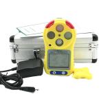 CH4 / CO / O2 / H2S Portable Gas Detector Diffusion Or Pump Sampling Method