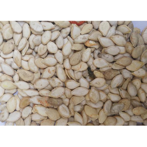 Pumpkin Seed Nuts Color Sorter RGB Full Color For Pumpkin Seeds Hulled