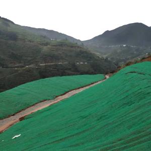 Modern Design High Tensile Strength Super CMD Mountain Slope Protection 3D