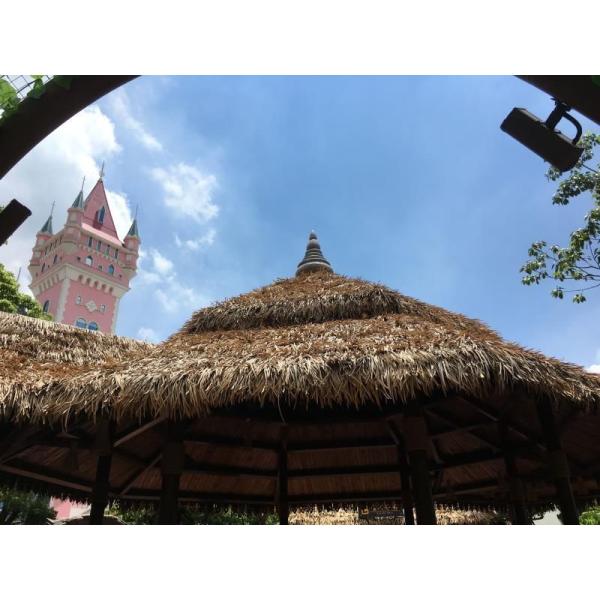 Eco-Friendly Simulation Plastic Thatch Roof for Decoration