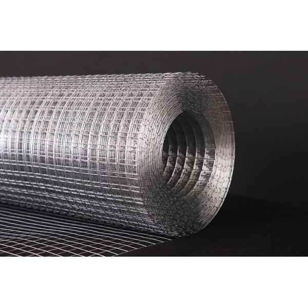 Premium Welded Wire Mesh Panels & Rolls – Industrial Strength, Versatile Solutions