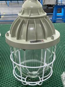 China ATEX Explosion Proof HID Light IP55 Optional Lamp Shade 70-400W wholesale