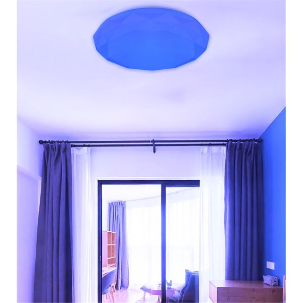 Camille LED Ceiling Lamp 24W