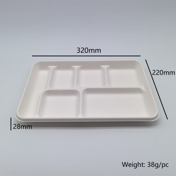 6 Compartment Disposable Plates Biodegradable Divided Rectangle Tray