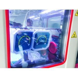 Professional Hygrometer Calibration Standard Test Chamber with Customized ODM