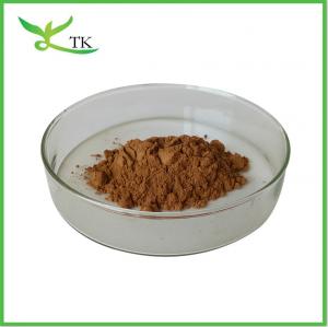 China Pure Natural Hericium Erinaceus Lions Mane Mushroom Extract Powder Polysaccharides For Health Supplement wholesale