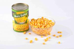 China Nutritious Canned Sweet Corn / Canned Yellow Corn Kernels No Preservative wholesale