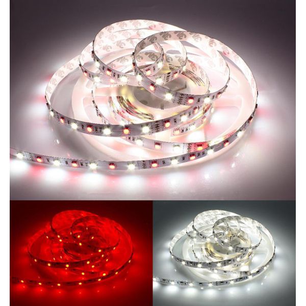 Flexible LED Strip Light SMD 5050 RGBW 12V / 24V With 12mm FPC Width UL Approved