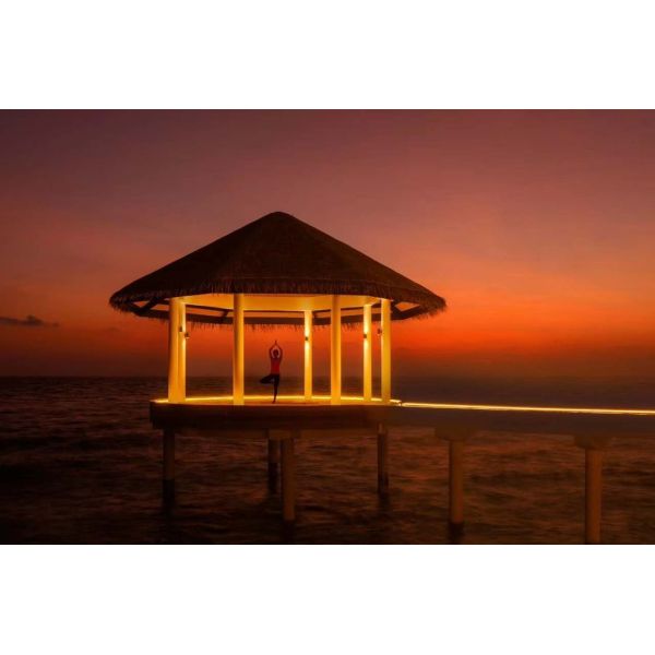 Upgrade to Noya Thatched Tile 1000*600mm for Tiki Artificial Thatch Roofing