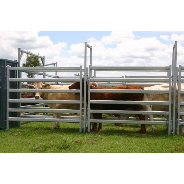 Portable Corral Panels For Cattle Permanent Yards Heavy Duty Cattle Yards