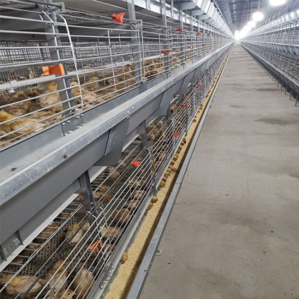 Hot Dip Broiler Battery Rearing Cage Galvanized Poultry Farming Meat