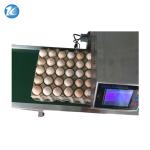 Professional Egg Breeding Machine Date Coding Machine One Year Warranty