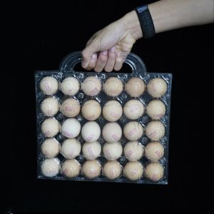 Buy cheap Transparent Plastic Egg Trays Egg Box Free Shipping Plastic Egg Tray with Handle from wholesalers