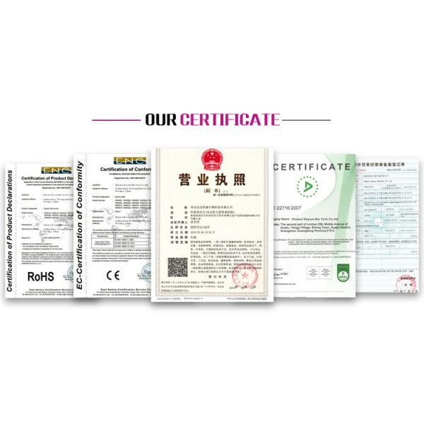 Automatic Safety Skin Analyzer Machine , OEM Skin Testing Equipment