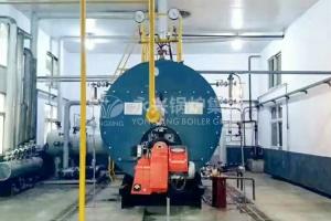 China Horizontal Gas Fired Hot Water Boiler Condensing Boiler Hot Water Tank wholesale