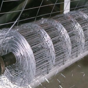 Buy cheap Construction Stainless Steel Welded Wire Mesh 5-50m Roll For Animal Cage from wholesalers