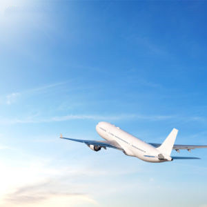 Air Shipping Company Imported From The Netherlands