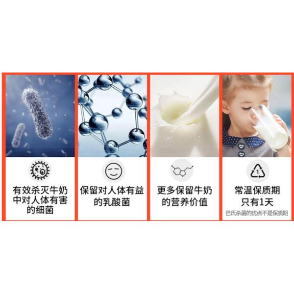 Heating Easy Operation Pasteurization Tunnel Small