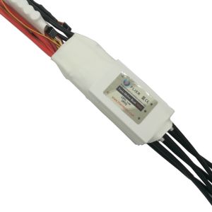 HV Flier 2 In 1 Twin Brushless ESC 16S 300A Customized For Rc Boat Efoil