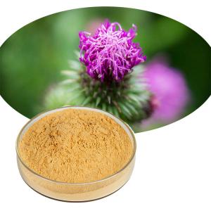 China Water Soluble Silybum Marianum Extract Milk Thistle Powder P.E. For Liver Health wholesale