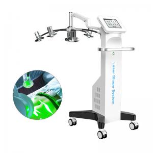China Laser Beauty Body Slimming Machine Non Invasive 6D Fat Removal 532nm wholesale