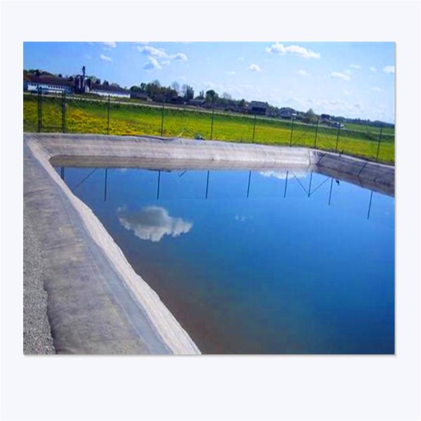 UV Resistant Impermeable Membrane Pond Liner for Aquaculture Applications