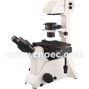 China 400X Inverted Phase Contrast Microscope With Seidentopf Trinocular A14.2602 wholesale