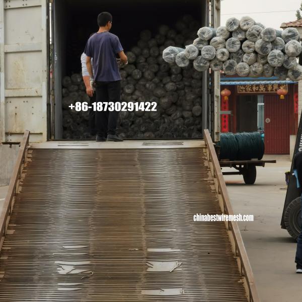 hot dipped galvanized 2.2mm x 25mm opening chain link fence roll mesh