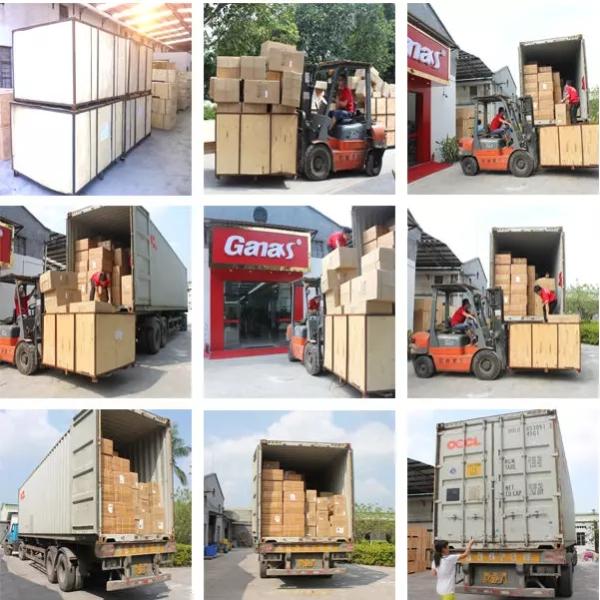 Gym Strength Training Plate Loaded Machines Seated Bicep Tricep Machine