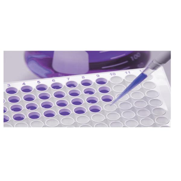 Disposable TCT 24 Well Cell Culture Plate For Laboratory Chemistry