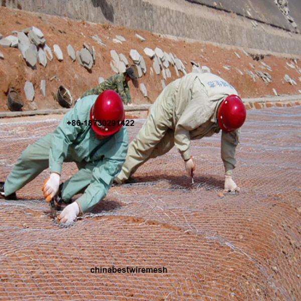 hot dipped galvanized 2.2mm x 25mm opening chain link fence roll mesh