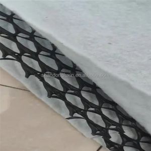 China Black White 3D Geocomposite Drainage Net for CE/ISO9001/ISO14001 Certified Landscaping wholesale
