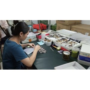 Dong Guan Aopiqiu Watch Co., Ltd.,