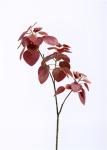 Pomegranate Artificial Tree Branches , Ideal Artificial Twig Branches Plastic