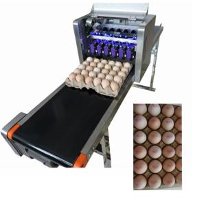 China Convenient Moving Egg Code Printing Machine With Personalized Integration Frame wholesale