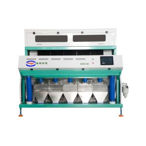 China RGB Camera 5 Chute Maize Optical Coffee Bean Color Sorter Machine Malaysia on sale