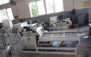 Almond Peanut Chopping Machine , Automatic Nut Cracker Machine Low Noise