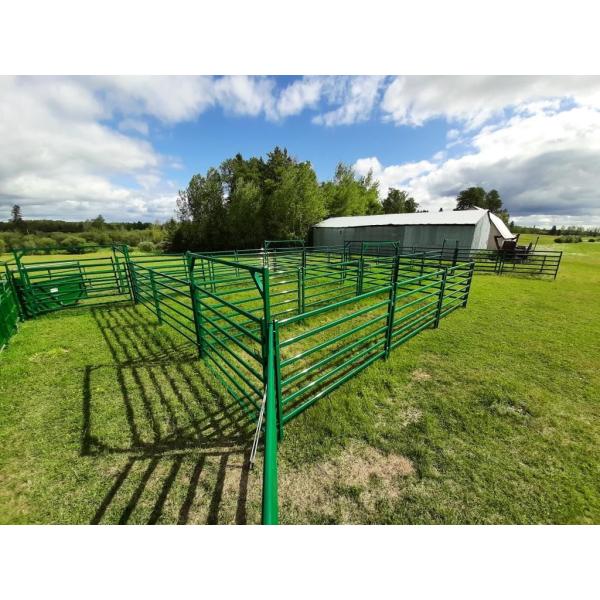 Metal Corral Fencing For Horses Sheep Cattle Livestock