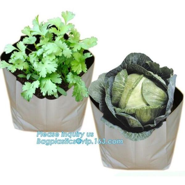 Planter Bags, Grow Bags, Cultivating Bags, Nursery Pot, Greenhouse, Agricultural Film, Horticulture Garden