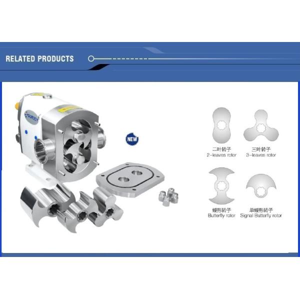TUL-23 High Purity lobe rotary pump with servo motor for transfer chocolate with 1.5" Connection