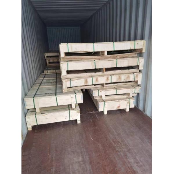 security insect screen