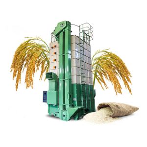China Mechanical 15 Ton Paddy Dryer machine wholesale